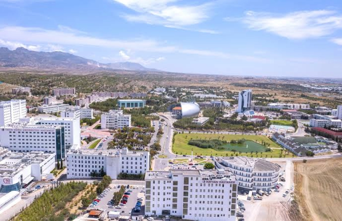 university thumbnail